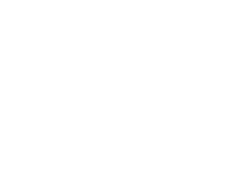 Lumidee: specialist in communicatieoplossingen